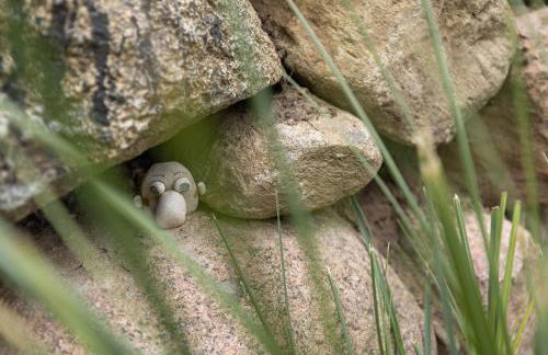 Reetdachhaus Nautilus - Foto 23