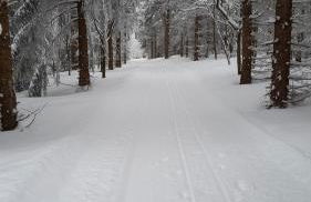 Ferienwohnung Grunwald - Foto 19