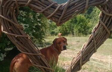 Lana Salta Alpakas - Gemütliche Gästezimmer auf dem Bauernhof - Foto 26