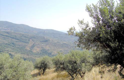 Casale Il Gheppio - Foto 15