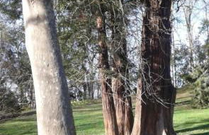 BIG 4 ROOMS in a Centric Home Parking Included - Foto 73