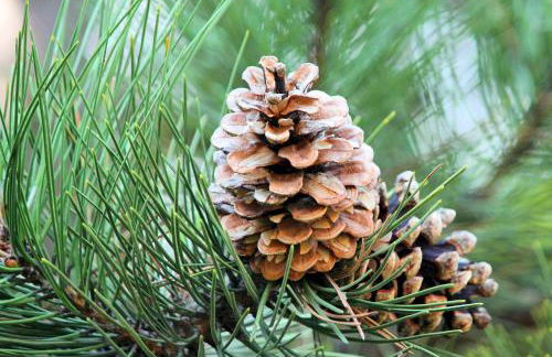 Monte Gordo Beach Flat with Balcony - Foto 28