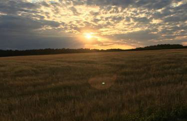 Siedlisko Nasza Chata - Foto 16