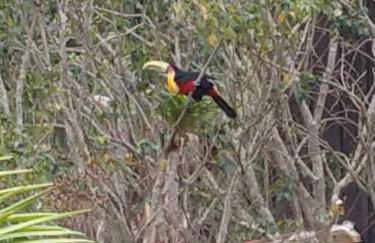 Studio Gamboa - Foto 27