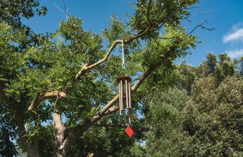 I Giardini di Pomona - Foto 48