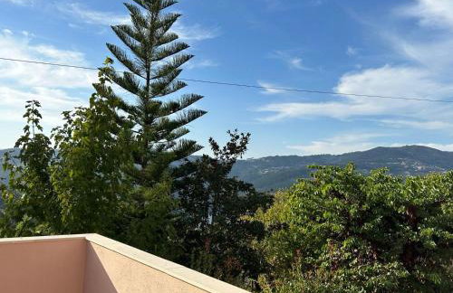 Casa Loureiro - Vista Rio Douro - Foto 45