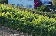 Charmant T3 en rez de jardin d'une villa - Foto 1