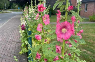 Ferienhaus Ahlers - Foto 2