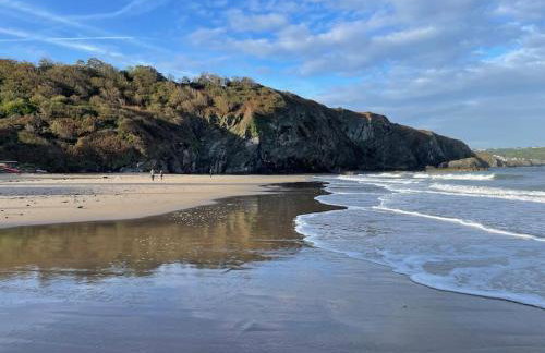 Cosy Clos Y Hendy Lodge - Foto 9