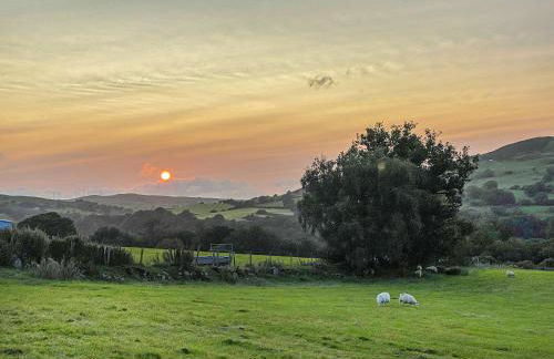 Fedwr Gog Cottage - Photo 20