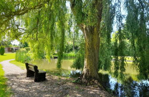 Domaine de l'Ermitage - Foto 55