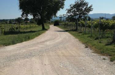 L'Antico Fienile - Foto 48