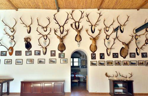 Casa Rural COMPLETA Finca Los Conventos en Adamuz; Córdoba - Foto 8