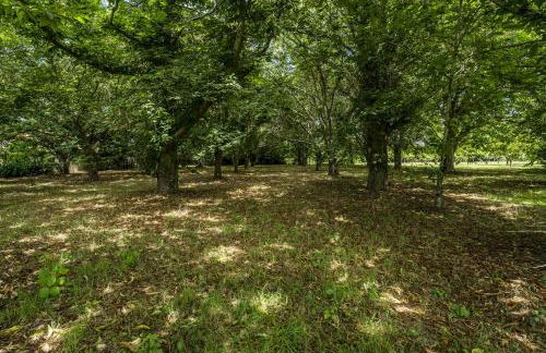 Nomad s Family - 4bdr Country House Macieira - Foto 64