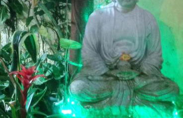 Casa Litoral Norte - Foto 26