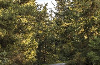 Villa White Harmony - Photo 47