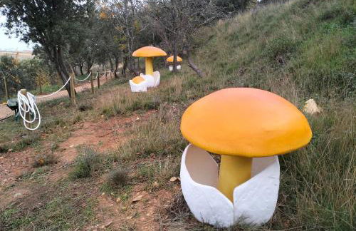 Encanto en el Moncayo - Photo 51