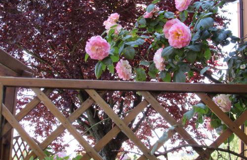 Casa Angolo delle Rose - Foto 53