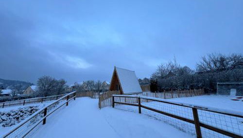Tiny House Ardennes - Photo 4