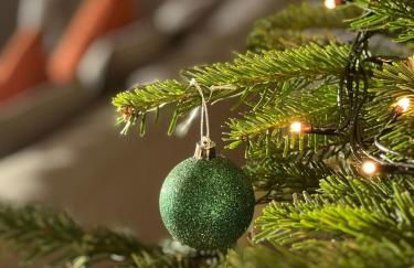 Tern Place - Photo 32