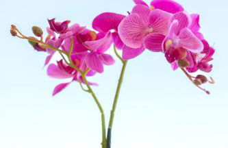 Etheria Comfort House - Photo 23