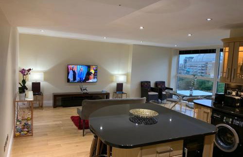 Thames View Apartment, Imperial Wharf - Foto 20