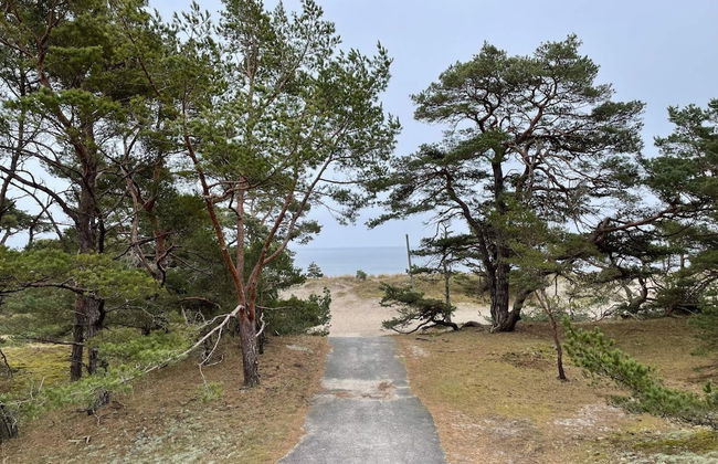 5 Person Holiday Home in Huarod - Foto 24