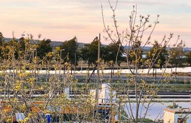 Rias Apart II - Foto 19