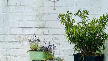 Das Auental-Appartment - Foto 4