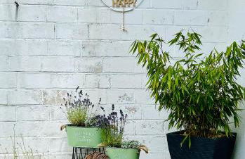 Das Auental-Appartment - Foto 4