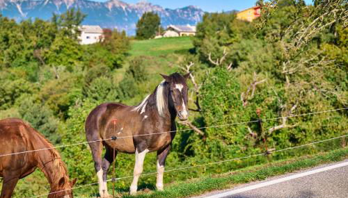 Dimora Valentina - Foto 3