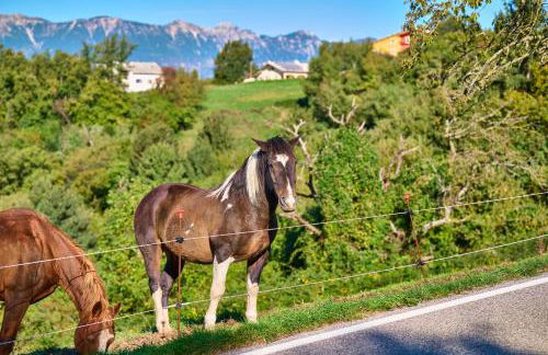 Dimora Valentina - Foto 3