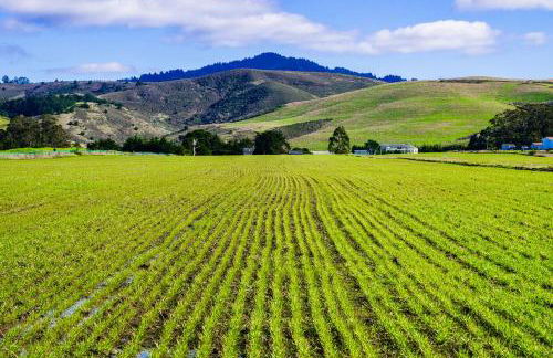 Private Home with Breathtaking Ocean Views - walk to Beaches Restaurants - Foto 36