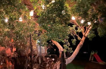 Cortijo el Alcornocal - Foto 60