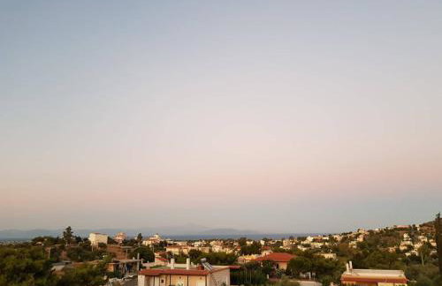 Apartments Tina FREE transfer from-to the airport - Foto 32