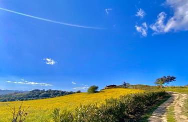 San Leonardo Country House - Foto 11