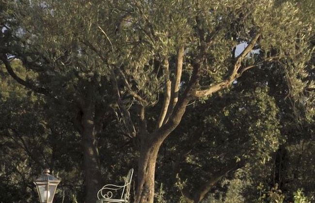 Villa Danilo - Foto 30