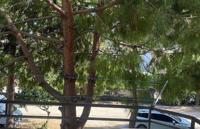 The Palm Club Apart Otel - Photo 77