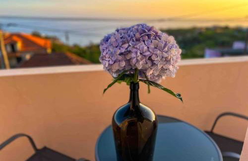 Apartment 1BR Hills over Ponta do Sol, sea view - Foto 1