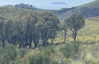 Chalet Mimosa - Foto 3