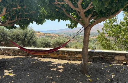 Villa Esperia - Foto 56