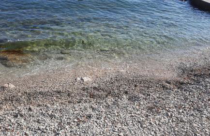 Apartma Coccolo - Foto 2