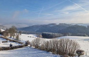 Fewo-Eifel-Morsbach - Foto 41