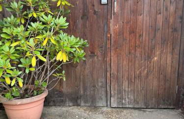 Garden flat in London - Foto 11