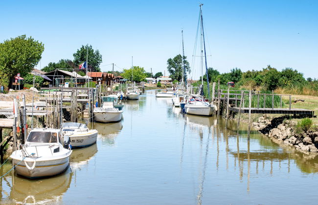 Mon Poussin - Photo 28