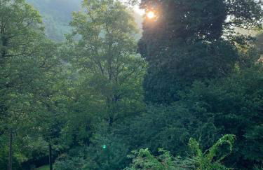 DeNi's Ferienwohnungen - Foto 42