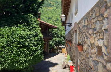 Somiedoeco - Foto 10