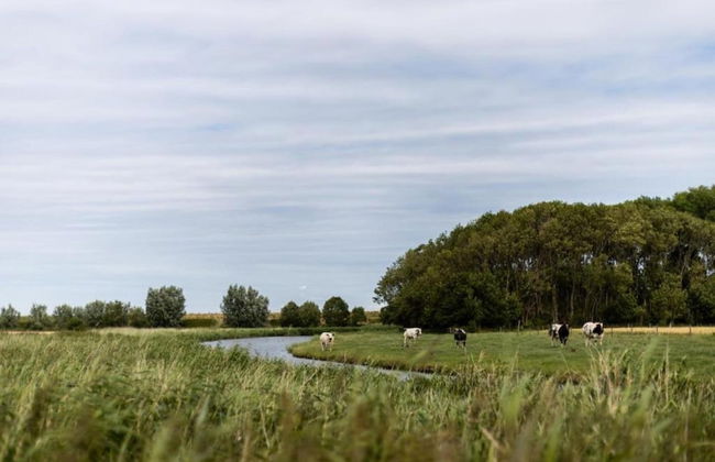 Cosy Apartment Directly on the Beach in Knokke - Foto 39