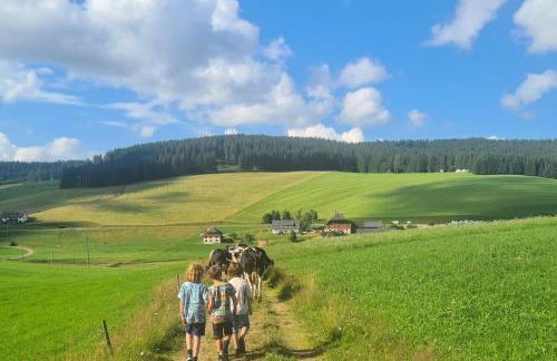 Ferienhaus Wendelhof - Foto 16
