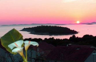 Apartments Tonći - Photo 12